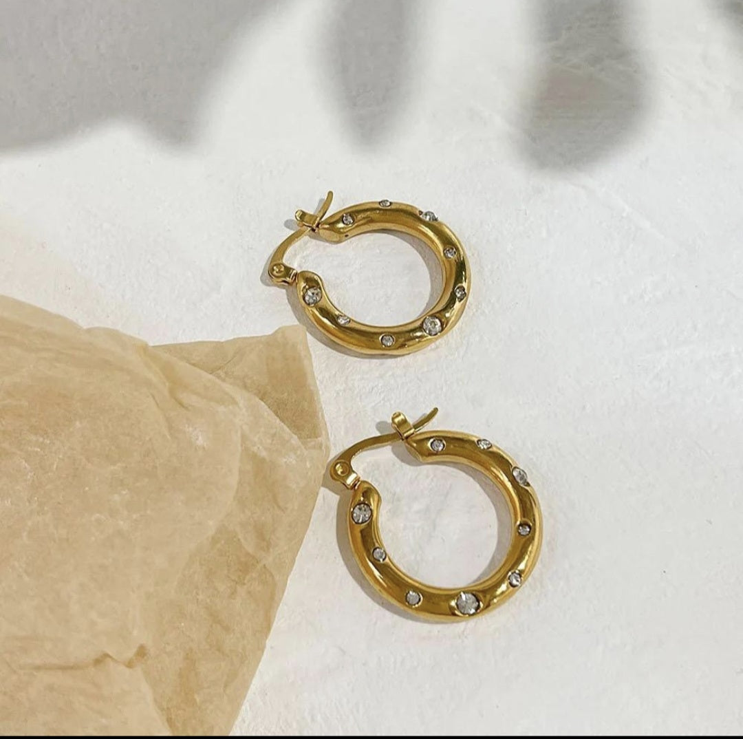 Stainless Steel E6 Earings