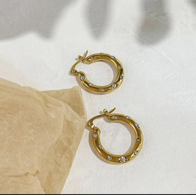 Stainless Steel E6 Earings