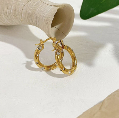 Stainless Steel E6 Earings