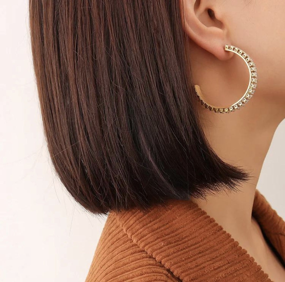 Stainless Steel E11 Earings