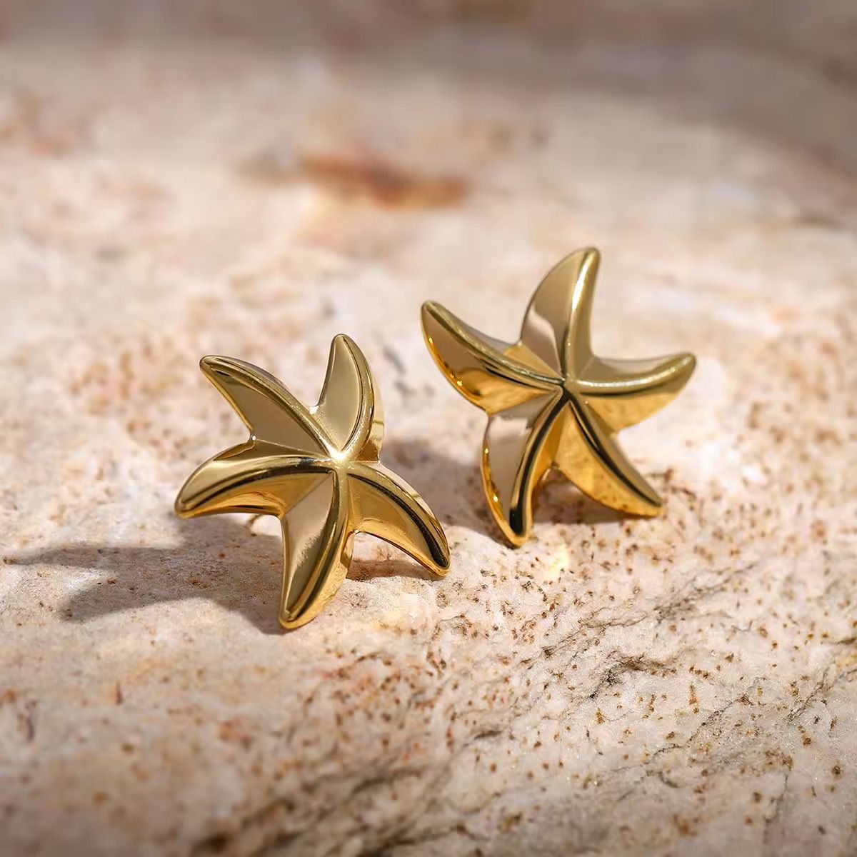 Sea Star Earings