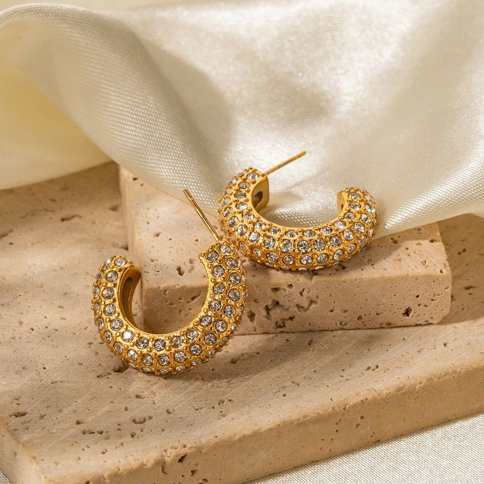 Sparkling Round Earings